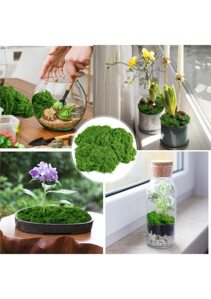 Simüle Yeşil Çim Bahçecilik Bonsai Dekorasyon Düğün Düğün Dekorasyonu Paskalya Yemek Masası (Yurt Dışından) indirimleri