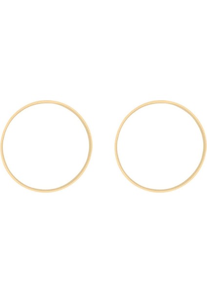 2x Rüya Bambu Yüzükler Ahşap Daire Yuvarlak Catcher Dıy Hoop Için Çiçek Çelenk Evi Bahçe Bitki Dekoru 18CM &amp 15CM (Yurt Dışından)