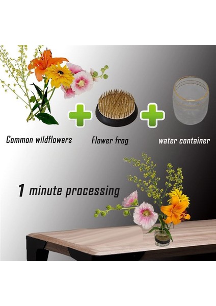 3pcs Çiçek Kurbağaları Tutucu 2 Inç Yuvarlak Çiçek Düzenlemesi Kenzan Japon Pin Kurbağaları Çiçek Fiksasyon ve Dekorasyon (Yurt Dışından) fiyatları