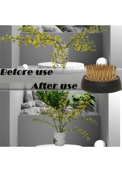 3pcs Çiçek Kurbağaları Tutucu 2 Inç Yuvarlak Çiçek Düzenlemesi Kenzan Japon Pin Kurbağaları Çiçek Fiksasyon ve Dekorasyon (Yurt Dışından) modelleri