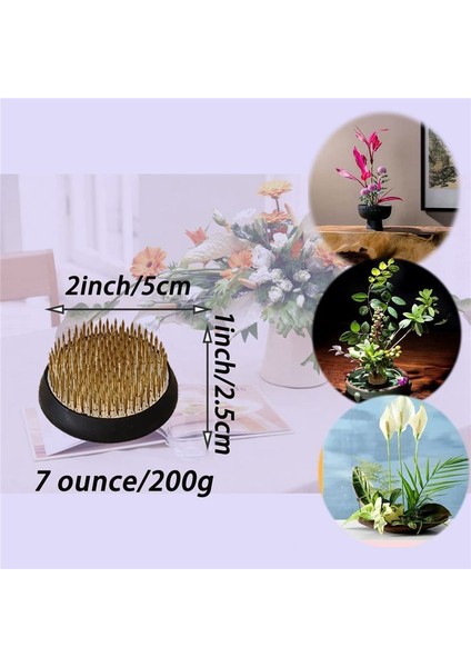 3pcs Çiçek Kurbağaları Tutucu 2 Inç Yuvarlak Çiçek Düzenlemesi Kenzan Japon Pin Kurbağaları Çiçek Fiksasyon ve Dekorasyon (Yurt Dışından) fırsatları