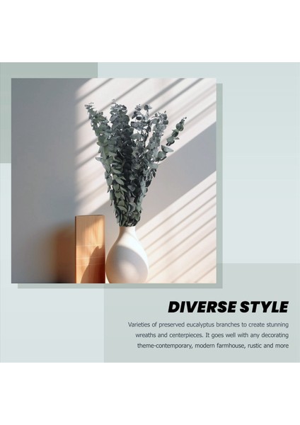 16PCS Korunmuş Kurutulmuş-Okaliptüs-Dallar Duş Için 17IN Taze Okaliptüs Bitkisi Vazo Dolgu Için Gerçek Okaliptüs Demeti (Yurt Dışından) fiyatları