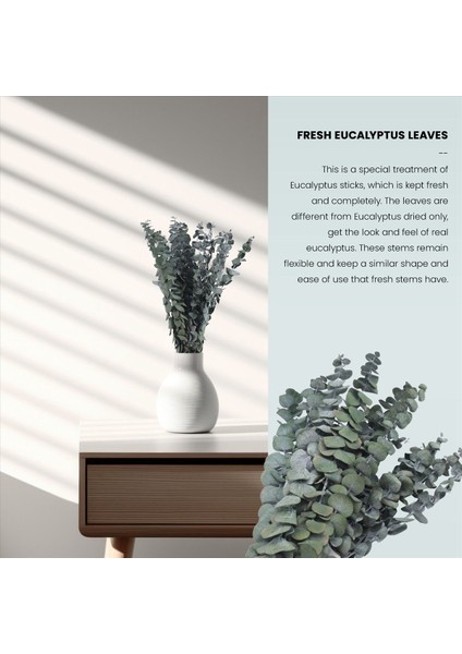 16PCS Korunmuş Kurutulmuş-Okaliptüs-Dallar Duş Için 17IN Taze Okaliptüs Bitkisi Vazo Dolgu Için Gerçek Okaliptüs Demeti (Yurt Dışından) fırsatları