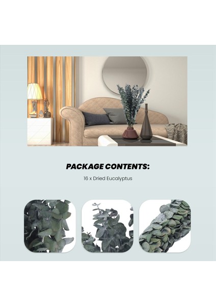 16PCS Korunmuş Kurutulmuş-Okaliptüs-Dallar Duş Için 17IN Taze Okaliptüs Bitkisi Vazo Dolgu Için Gerçek Okaliptüs Demeti (Yurt Dışından) indirimleri