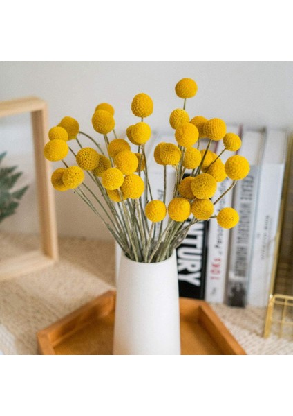 Doğal Kurutulmuş Çiçek Sarı Top Buket Demet Gerçek Taze Hasat Kuru Bitki Grubu Ev El Sanatları Için Dekorasyon (Yurt Dışından) indirimleri