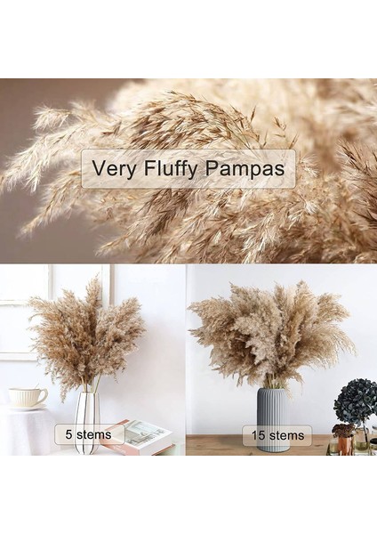 30 Sap Kurutulmuş Pampas Çim Yabani Pampas Çim Kabarık Pampas Çiçek 17 Inç Dökme Pampas Çim Dekor Çiçekleri Kurutulmuş Bitkiler (Yurt Dışından) modelleri