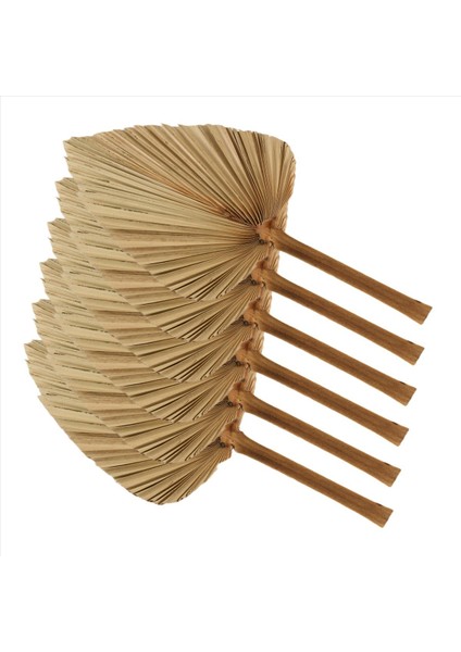 6pcs Kurutulmuş Palmiye Doğal Kurutulmuş Palmiye Fanları Boho Düğün Dekoru Için Büyük Palmiye Mızrak Tropikal Palmiye Yaprakları Dekorasyon S (Yurt Dışından)