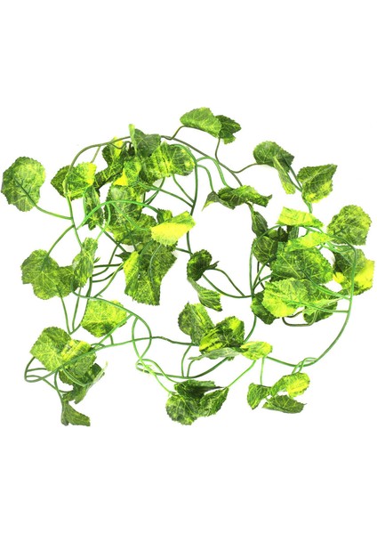 2pcs 2m Uzunluğunda Yapay Bitkiler Yeşil Sarmaşık Yapay Üzüm Asma Partenocissus Yaprakları Yaprakları Begonya (Yurt Dışından) fiyatları