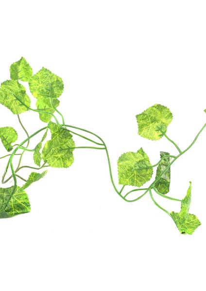 2pcs 2m Uzunluğunda Yapay Bitkiler Yeşil Sarmaşık Yapay Üzüm Asma Partenocissus Yaprakları Yaprakları Begonya (Yurt Dışından) indirimleri