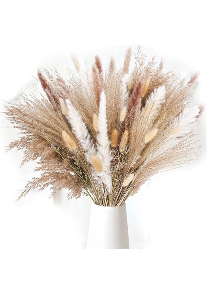 85PCSPAMPAS Çim Dekoratif Vazo Ev Tasarım Düzenlemeleri Kurutulmuş Doğal Pampas Çim Bitkileri Kabarık Kurutulmuş Çiçekler 43 cm (Yurt Dışından)