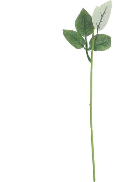 200PCS Yapay Gül Çiçek Sapları Için Dıy El Yapımı Buket Çiçek Yaprağı Ven Düğün Ev Dekorasyon (Yurt Dışından) fiyatları