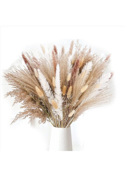 170 Pcs Pampas Çim Dekoratif Vazo Ev Tasarım Düzenlemeleri Kurutulmuş Doğal Pampas Çim Bitkileri Kabarık Kurutulmuş Çiçekler (Yurt Dışından) fiyatları