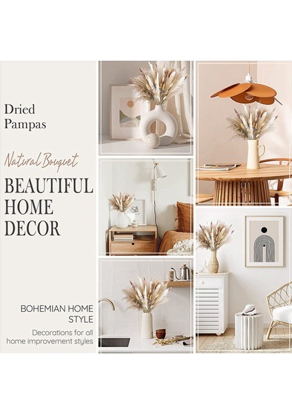 170 Pcs Pampas Çim Dekoratif Vazo Ev Tasarım Düzenlemeleri Kurutulmuş Doğal Pampas Çim Bitkileri Kabarık Kurutulmuş Çiçekler (Yurt Dışından) modelleri