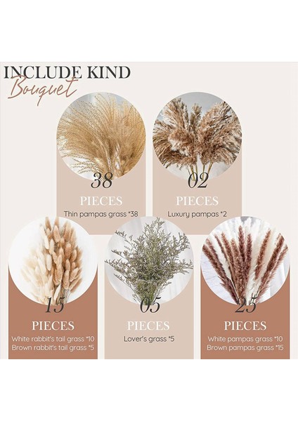 170 Pcs Pampas Çim Dekoratif Vazo Ev Tasarım Düzenlemeleri Kurutulmuş Doğal Pampas Çim Bitkileri Kabarık Kurutulmuş Çiçekler (Yurt Dışından) fırsatları