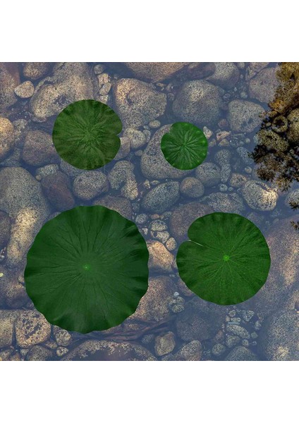 24X Yapay Yüzen Köpük Lotus Havuz Akvaryumu ve Sahne Gerçekçi Lotus Yeşil Bitki 4 Boyutları Için Dekor Yapıyor (Yurt Dışından) indirimleri