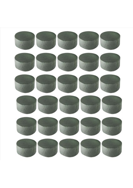 Çiçek Köpüğü 30 Adet Yuvarlak Kuru Çiçek Köpük Blokları Yapay Çiçekler Için Yeşil Strafor Blokları Çiçek Için Harika (Yurt Dışından)