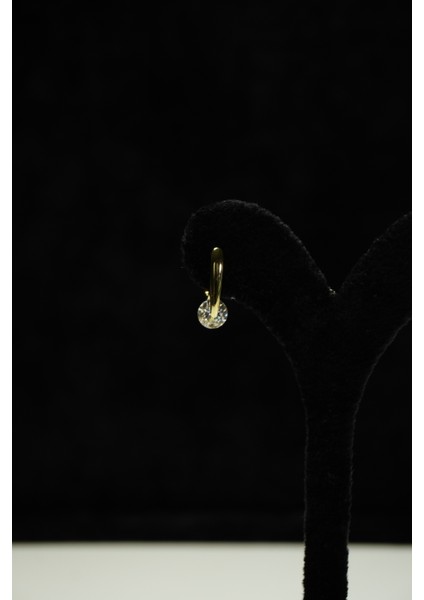 Zirkon Taşlı Çelik Küpe fırsatları