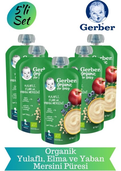 Yulaflı Elma ve Yaban Mersini Püresi 5 Li Set