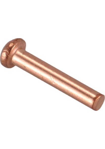 200 Adet 5/64 Inç x 25/64 Inç Yuvarlak Kafa Bakır Katı Perçin Bağlantı Elemanları (Yurt Dışından) indirimleri