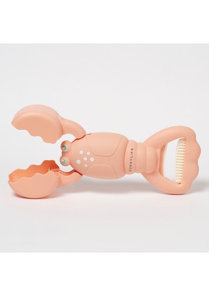 - Istakoz Şeklinde Deniz- Kum Oyuncağı