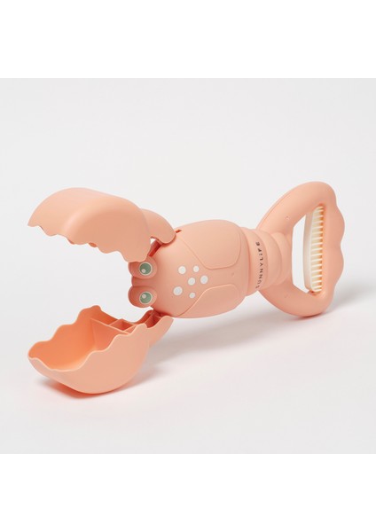 - Istakoz Şeklinde Deniz- Kum Oyuncağı