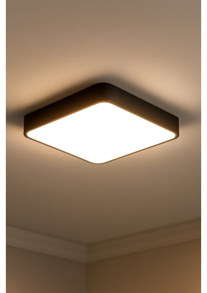 Quadratic Plafonyer Kare 30 x 30 Cm Gün Işığı modelleri