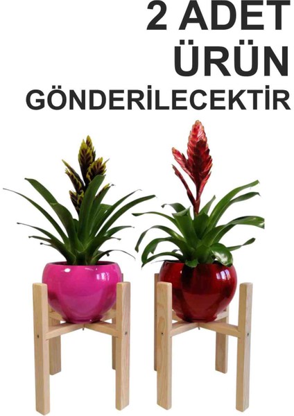 Ahşap Saksı Standı Ayağı Vernikli Saksılık Çiçeklik Ayaklı Stant