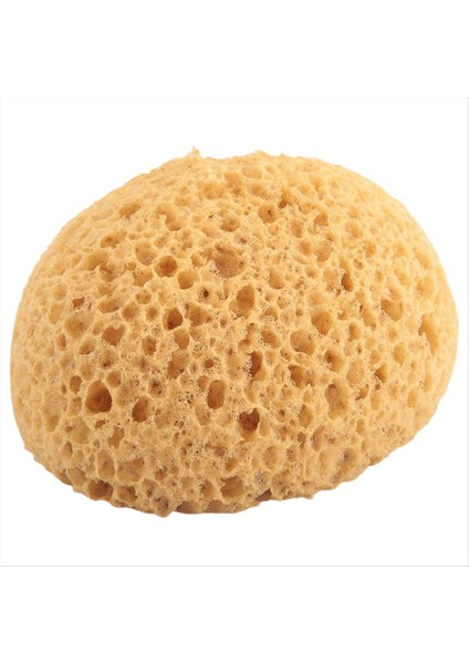 16PCS Doku Sünger Alçıpan Doku Doku Doku Doku Yama Sünger Doku Onarımı Diy Boya Tavanı (12 x 9 x 7cm) (Yurt Dışından) indirimleri