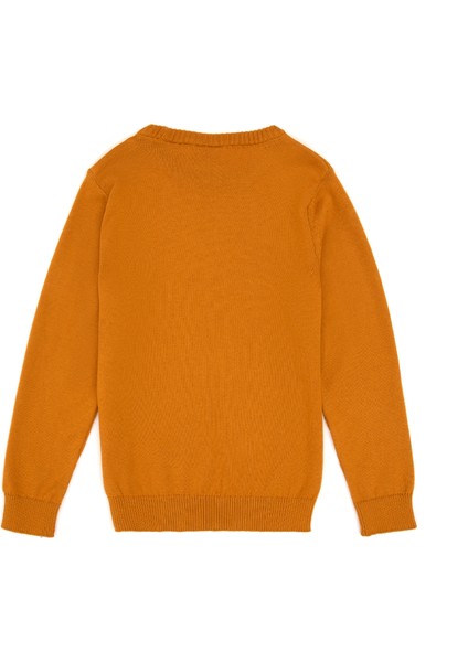 Erkek Çocuk Hardal Kazak /triko 50315586-VR072 fırsatları