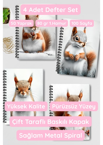 Sincap Kış Temalı Tasarım Tel Spiralli 4'lü Hatıra, Günlük, Ajanda, Anı, Okul Defter Seti