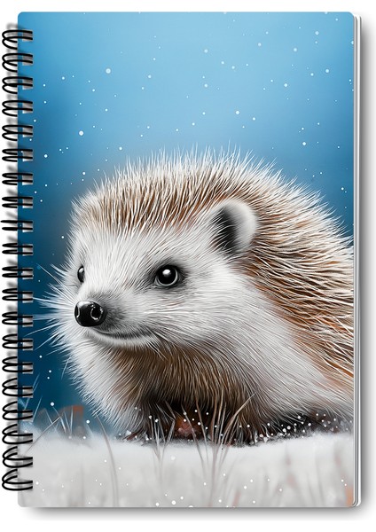 Kirpi Kış Temalı Tasarım Tel Spiralli 4'lü Hatıra, Günlük, Ajanda, Anı, Okul Defter Seti fiyatları