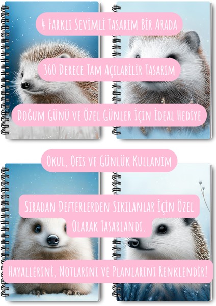 Kirpi Kış Temalı Tasarım Tel Spiralli 4'lü Hatıra, Günlük, Ajanda, Anı, Okul Defter Seti