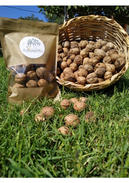 Ince Kabuklu Ilaçsız Taze Ceviz 1 kg (Yeni Mahsul) modelleri
