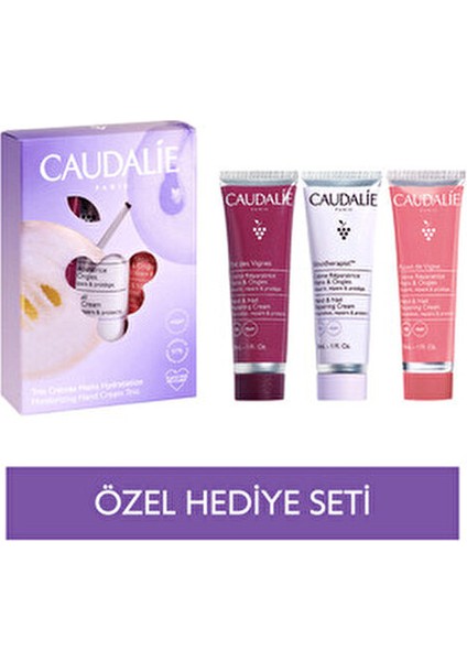 Nemlendirici El Bakım Kremi Üçlüsü Kuru Ciltler İçin Besleyici 3 Adet Vegan fiyatları