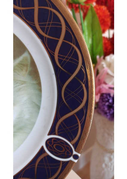 Vintage Maghsoud Porselen Van Kedisi Desenli Altın Yaldızlı Dekoratif Tabak & 25 cm fırsatları