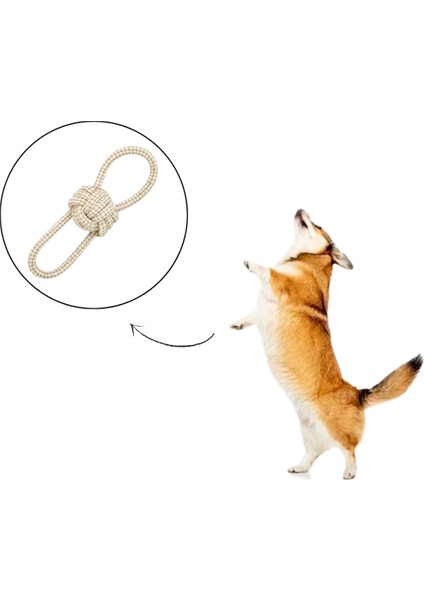 Dayanıklı ve Eğlenceli Köpek Oyuncağı