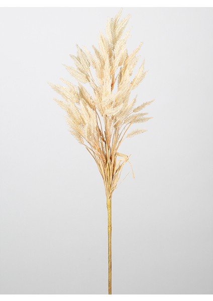 Dal Çiçek 80 cm 0103637-KREM