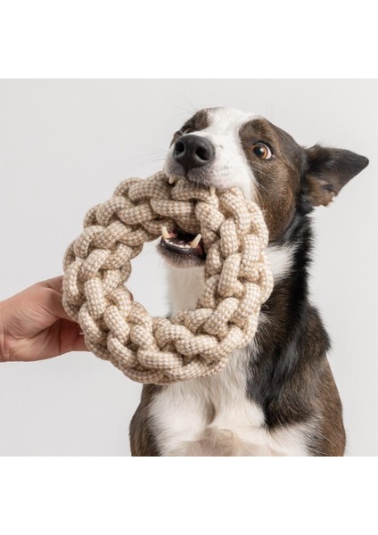 Dayanıklı ve Eğlenceli Köpek Oyuncağı fırsatları