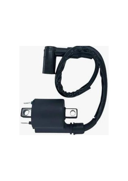 Dış Bobin ve Buji Başlığı Spacy - Activa S - Spontini