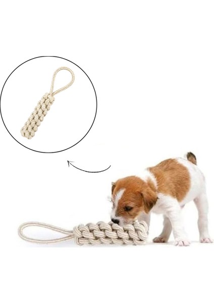 Dayanıklı ve Eğlenceli Köpek Oyuncağı