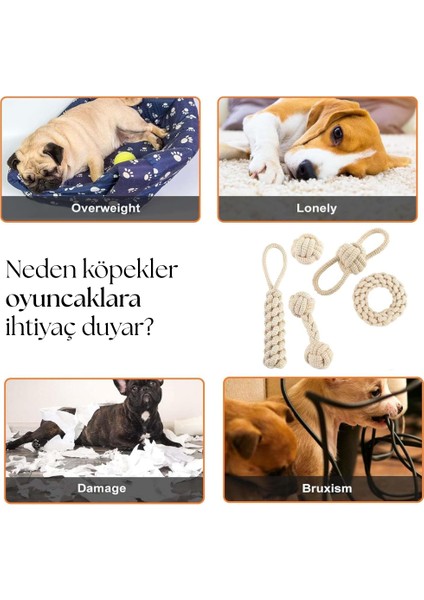 Dayanıklı ve Eğlenceli Köpek Oyuncağı indirimleri