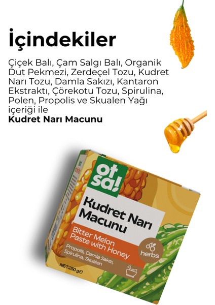 Kudret Narı Ekstraktlı Macun 250 gr fiyatları
