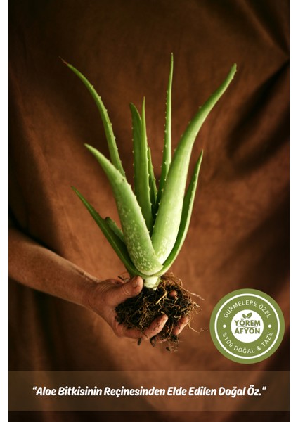 Yörem Afyon Anadolu’nun Kadim Mirası Halk Hekimliğinin Sessiz Kahramanı Sarı Sabır Sabır Taşı (Aloe Ferox) | 15GR. modelleri