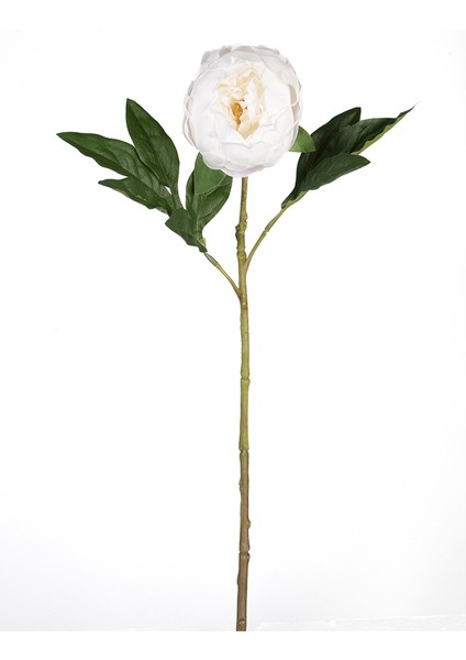 Şakayık 58CM 0105810-BEYAZ