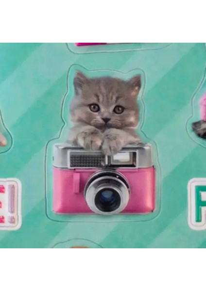 PT-4673 3D Studio Pets Sticker - Pembe fiyatları