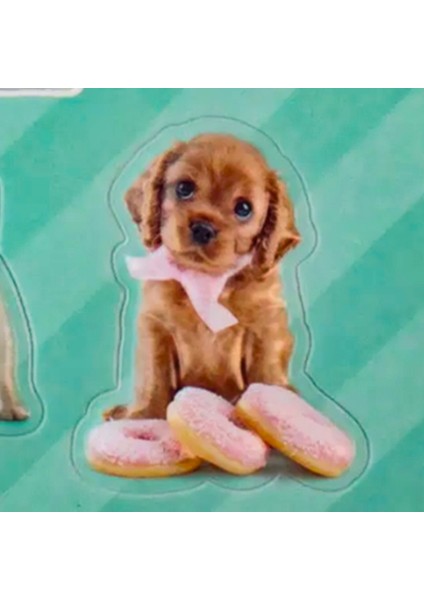 PT-4673 3D Studio Pets Sticker - Pembe modelleri