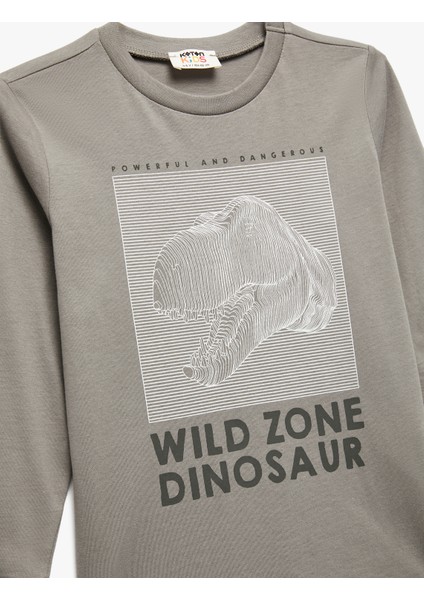 Pamuklu Uzun Kollu Bisiklet Yaka Dinozor Baskılı Tişört modelleri