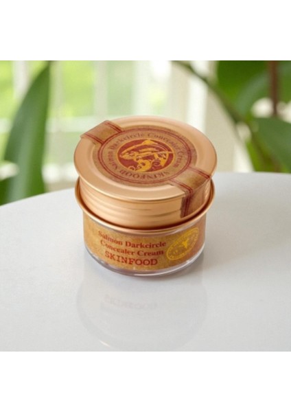 Skinfood Salmon Concealer Kapatıcı Krem (02) modelleri
