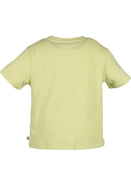 Organik Balık Baskılı Yeşil Yazlık Erkek Çocuk Tshirt fırsatları