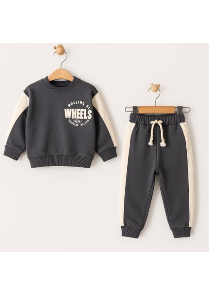 Erkek Çocuk Baskılı Takım fiyatları